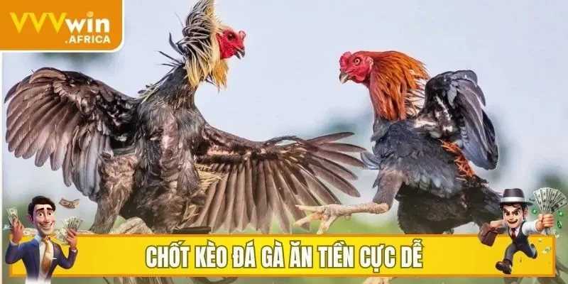 Chốt kèo đá gà ăn tiền cực dễ