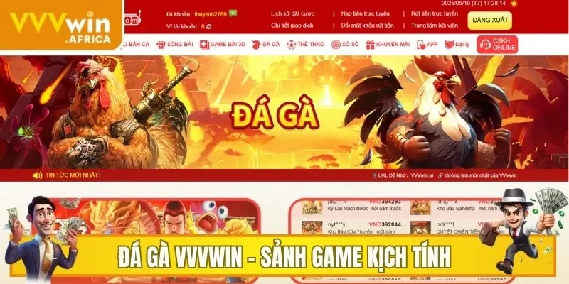 Đá Gà VVVWIN - sảnh game kịch tính