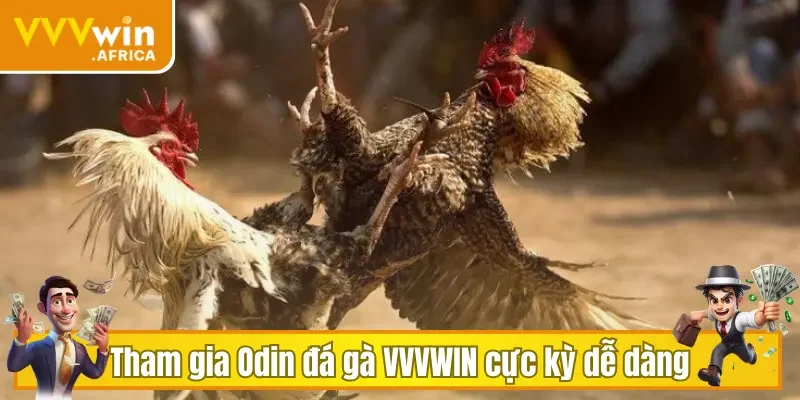 Tham gia Odin đá gà VVVWIN cực kỳ dễ dàng