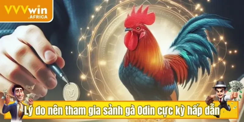 Lý do nên tham gia sảnh gà Odin cực kỳ hấp dẫn