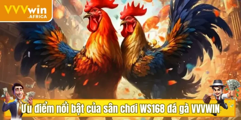 Ưu điểm nổi bật của sân chơi WS168 đá gà VVVWIN