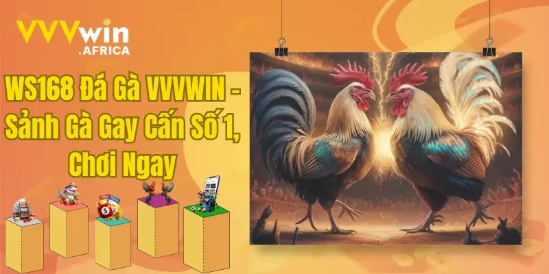 WS168 Đá Gà VVVWIN - Sảnh Gà Gay Cấn Số 1, Chơi Ngay